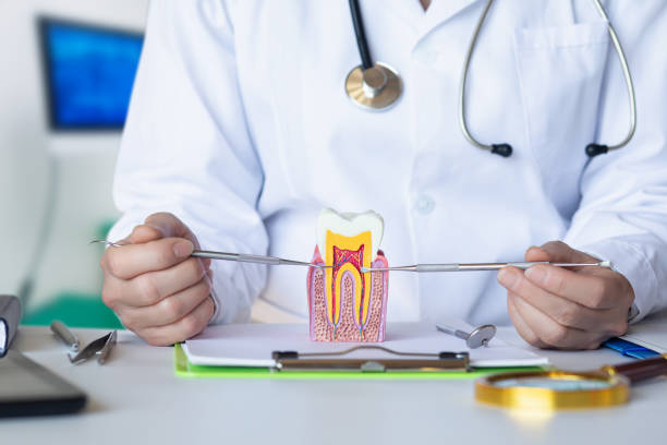 Best Emergency Dental Care for Broken or Chipped Teeth in Union Mill, VA